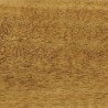Protek Stable Coat - Golden Oak 5L